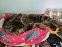 Habitación Doble Estándar