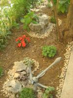 Appartamento con Terrazza