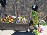 Art Deco 1930s Design - B&B Napier City