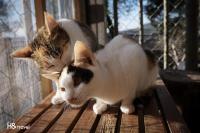 阿里山初日 - B&B