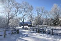 F-1081 Ferienwohnung Pfarrhof in Garz - B&B Garz