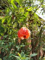 Camera Matrimoniale con Bagno Privato