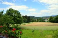 Apartment mit 2 Schlafzimmern und Balkon