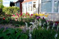 Comfortable rooms - B&B Birmingham