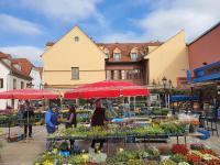 Dolac Guesthouse - B&B Zagabria