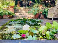 Landhaus - Villa Nisa 1895 - B&B Kleinsteinbach