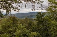 Harzfalke Apartment - Ankommen und wohlfühlen. - B&B Wieda