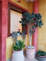 Grace dell'isola dei Coralli - B&B