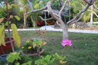 Cartago Bay - B&B Puerto Villamil