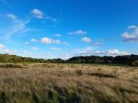 Beautiful Double Bedroom- In a modern 2 bed shared house - B&B Chigwell