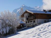 Penthouse Apartment with Balcony and Glacier View