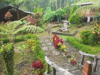 Ijen Miner Family Homestay - Chambres d’hôtes Banyuwangi
