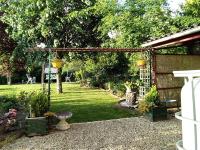 Hirondelles et mésanges - B&B Fromental