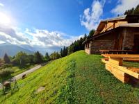 Chalet Chapeau RaR - Ferienwohnung Castel Condino