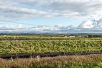 Llys Awel - B&B Llangadwaladr