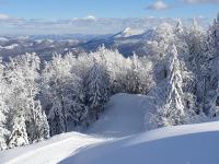 Monolocale Familiare