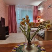2комн апартаменты на ул.софиевской - Chambres d’hôtes Krementchouk