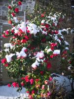 Ca' delle Sore - B&B Arezzo