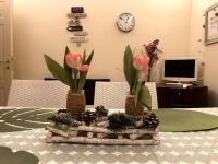 MIMI'S HOME casa per vacanze - B&B Pescara