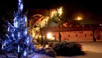 Garden Apartments Janša - Ferienwohnung Radovljica