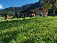 Ritschhof - B&B Castelrotto