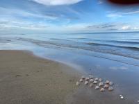 Habitación Familiar Deluxe