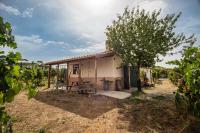 B&B Monte Porzio Catone - Un' Ottima Annata - La casa nel vigneto - Bed and Breakfast Monte Porzio Catone