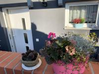 Ferienwohnung Rosenweg - Ferienwohnung Schmalkalden