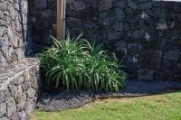 Appartamento con Vista Giardino