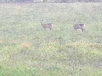 Appartamento Serenella - B&B Sestola