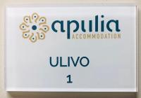 Junior Suite für Familien