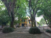 Camelia Rooms - B&B Guimarães
