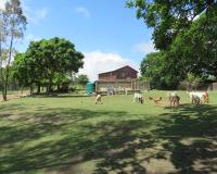 Misty View Farm Stay - B&B
