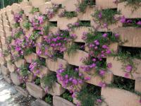 B&B L'Armonia - B&B Fabriano