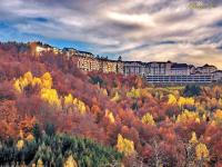 SANS Lux Apartman N42 Milmari Kopaonik - B&B Kopaonik