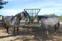 Quinta da Fonte de Grandola - Bed and Breakfast Grândola
