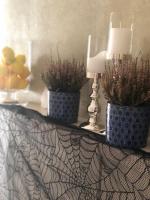 Дбайлива Ципа - B&B Mizhhirya