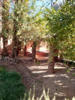 Familiekamer met Uitzicht op de Tuin.