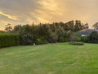 Suite Deluxe con cama extragrande