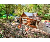 Beary Relaxing Cabin - Rustic with Outdoor Patio - B&B
