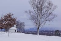 Three-Bedroom Townhouse