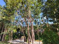 CASA NOVA 2 - B&B São José da Coroa Grande