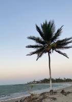 SRBG Casa em Barra Grande-PI - Ferienwohnung Barra Grande