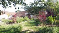 Camera King con Vista Giardino