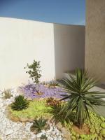 Belle Villa Proche Marina - B&B Houmt Souk