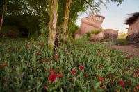 CASA PEQUÉN - Chambres d’hôtes San Pedro de Atacama