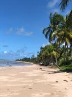 Le Petit Suítes Praia de Lages - Bed and Breakfast Porto de Pedras