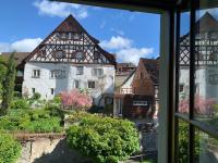 Ferienwohnung am Salmansweiler Hof - B&B