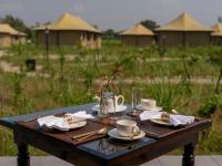 Luxury Tent with King Bed and Private Setup