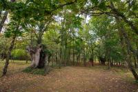 Appartement met 1 Slaapkamer